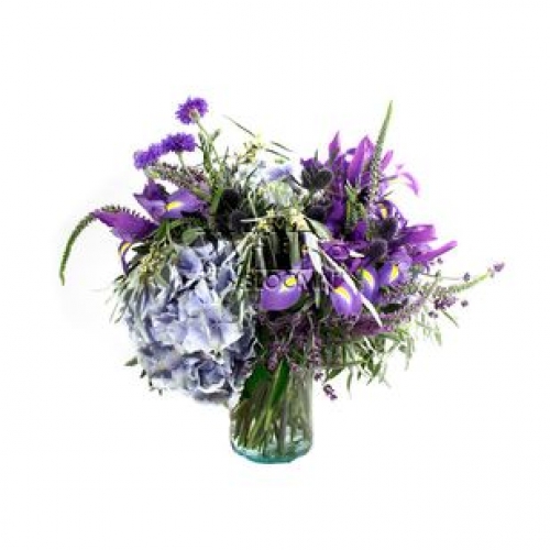 Winter Flowers
