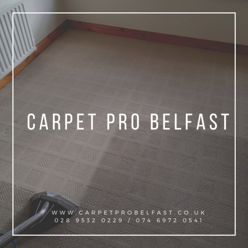Carpet Cleaning