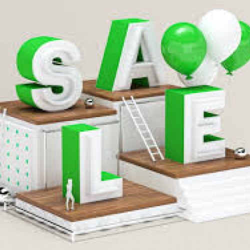 Promotional Website