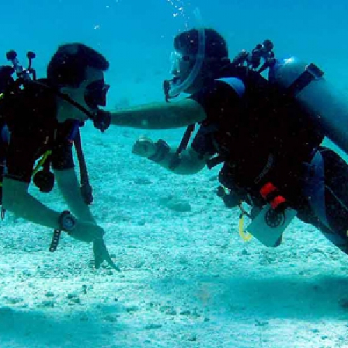 PADI Divemaster